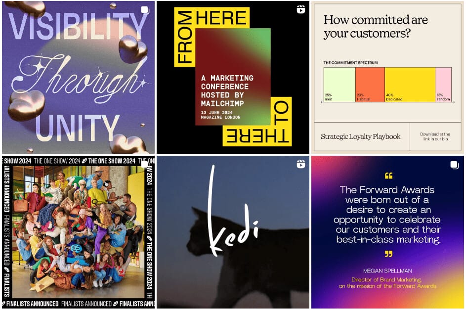 Mailchimp page content diversity