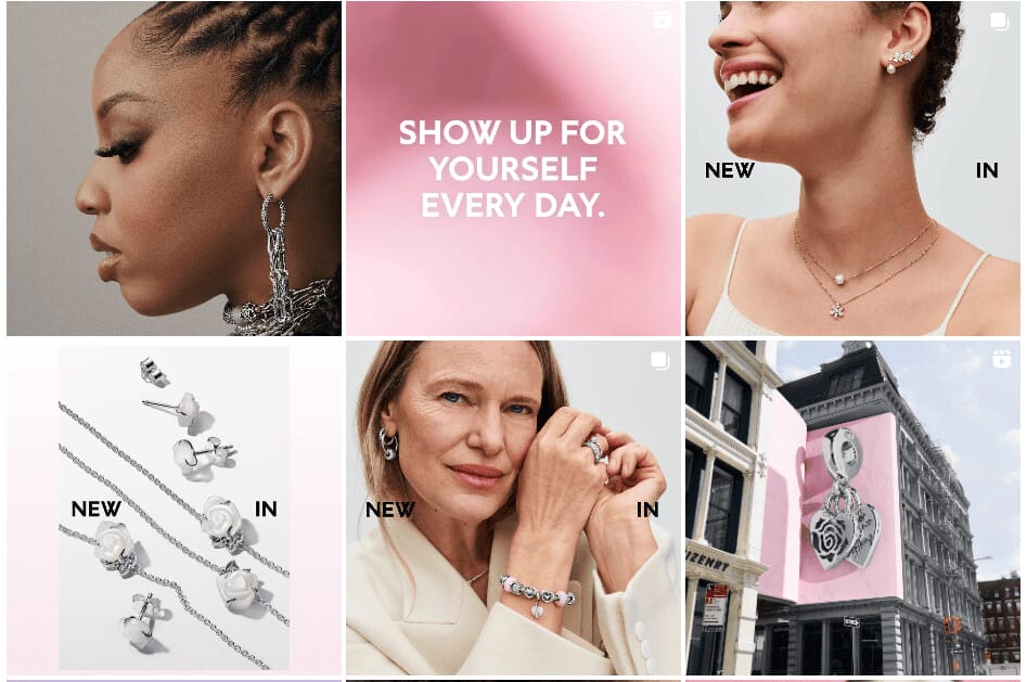 An example of a harmonious visual is the Pandora brand profile