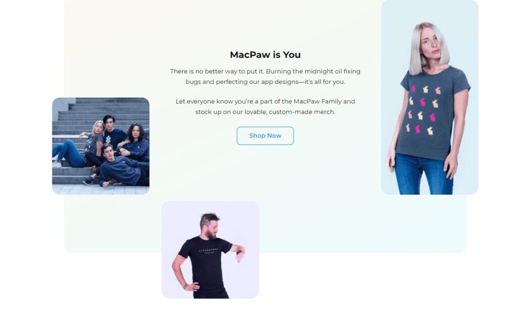 section about us on the website