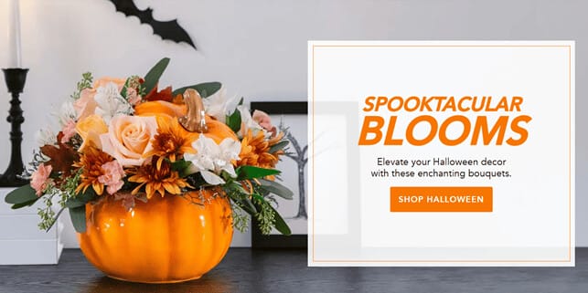 Product and service offer from the florist network Teleflora
